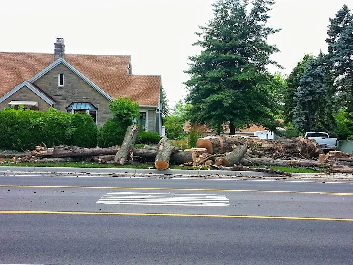 AMERICAN TREE EXPERTS & LANDSCAPING Picture 10