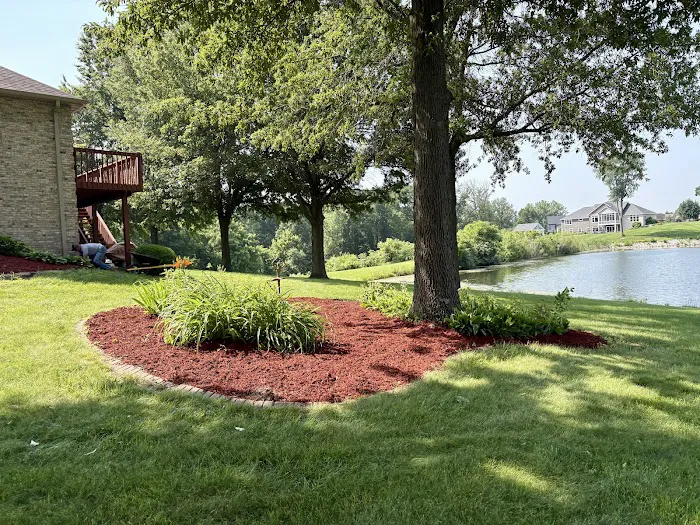 Chewy's Trees and Landscaping Picture 1