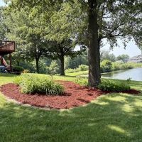 Chewy's Trees and Landscaping ico