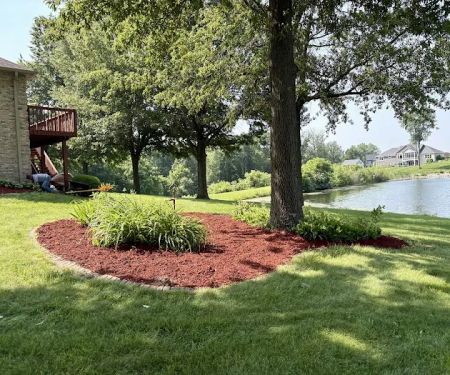 Chewy's Trees and Landscaping