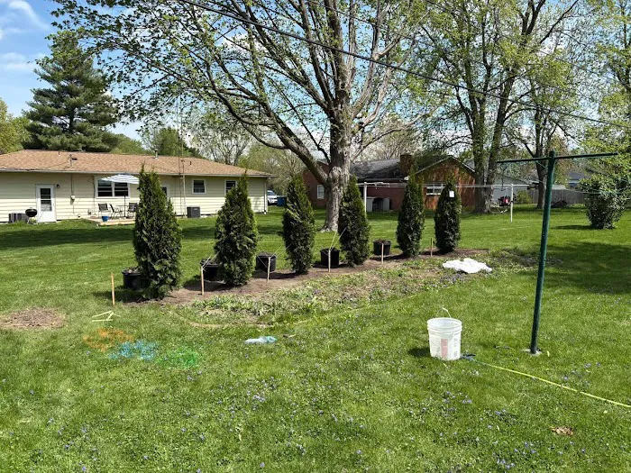 Chewy's Trees and Landscaping Picture 3