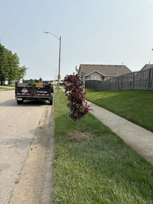 Chewy's Trees and Landscaping Picture 9