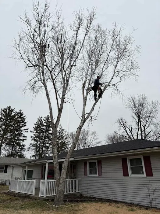 Chewy's Trees and Landscaping Picture 6