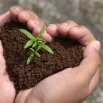 Battle Creek Landscape Service