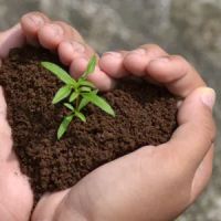Battle Creek Landscape Service ico