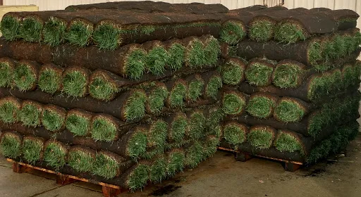 AAA Turf, Inc. Picture 5