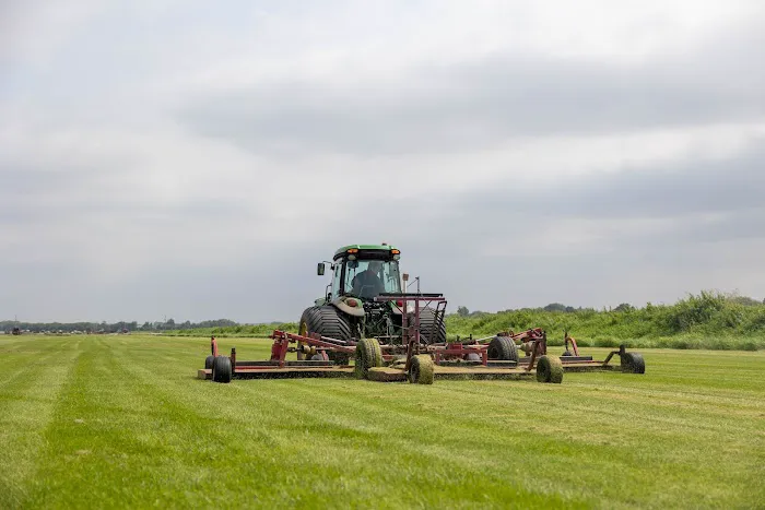 AAA Turf, Inc. Picture 7