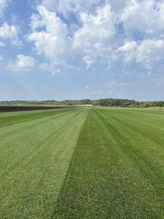 AAA Turf, Inc. Picture 1