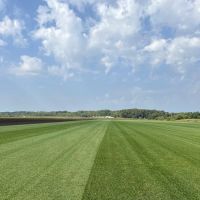 AAA Turf, Inc. ico