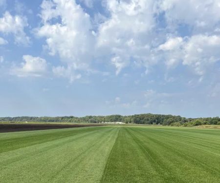 AAA Turf, Inc.