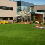 Innovative Landscape Service