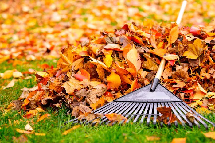 Innovative Landscape Service Picture 7