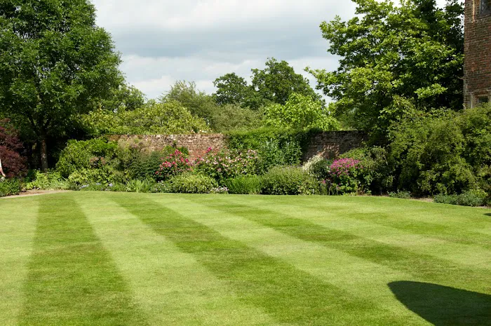 Innovative Landscape Service Picture 4