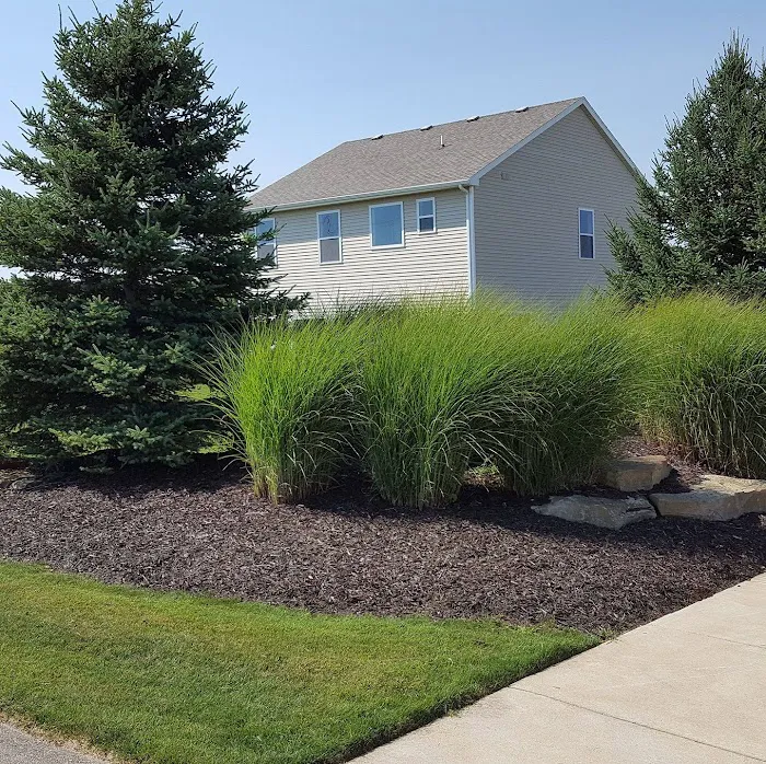 Innovative Landscape Service Picture 6