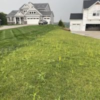 H & K Landscaping ico