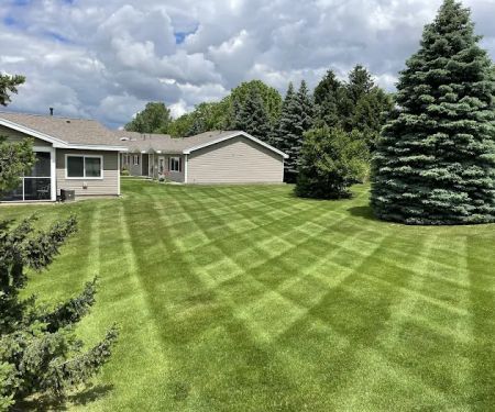 Carter's Cuts Lawncare & Landscaping