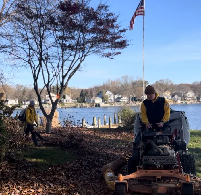 Augusta Lawn Care Services of Hudsonville Picture 7