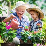 How to Create a Landscape That Grows With Your Family