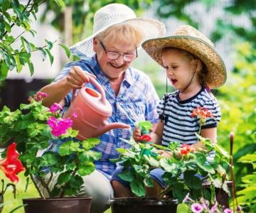 How to Create a Landscape That Grows With Your Family