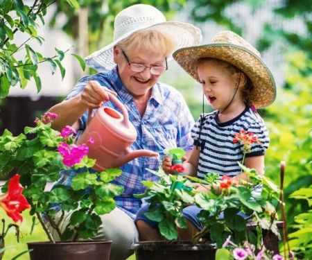 How to Create a Landscape That Grows With Your Family