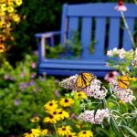How to Create a Butterfly Pathway Through Your Garden