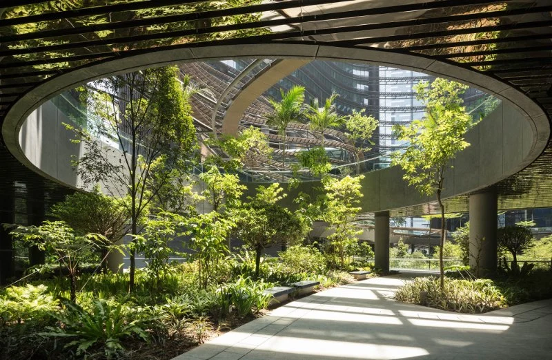 How to Design a Landscape That Complements Architecture: Expert Tips and Ideas