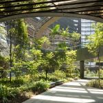 How to Design a Landscape That Complements Architecture: Expert Tips and Ideas
