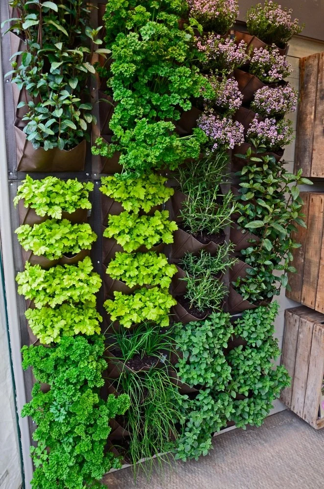 How to Use Vertical Gardening to Max Out Small Yards