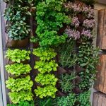 How to Use Vertical Gardening to Max Out Small Yards