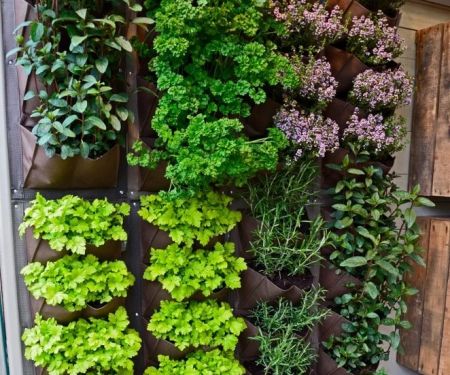 How to Use Vertical Gardening to Max Out Small Yards