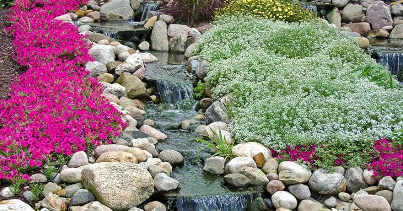 Best Ground Covers for Slopes & Erosion Control: Affordable and Effective Solutions