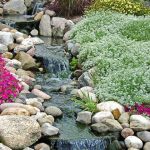 Best Ground Covers for Slopes & Erosion Control: Affordable and Effective Solutions