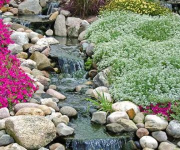 Best Ground Covers for Slopes & Erosion Control: Affordable and Effective Solutions