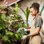 How to Build a Sustainable Backyard Using Native Materials: A Step-by-Step Guide