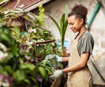 How to Build a Sustainable Backyard Using Native Materials: A Step-by-Step Guide