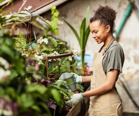 How to Build a Sustainable Backyard Using Native Materials: A Step-by-Step Guide