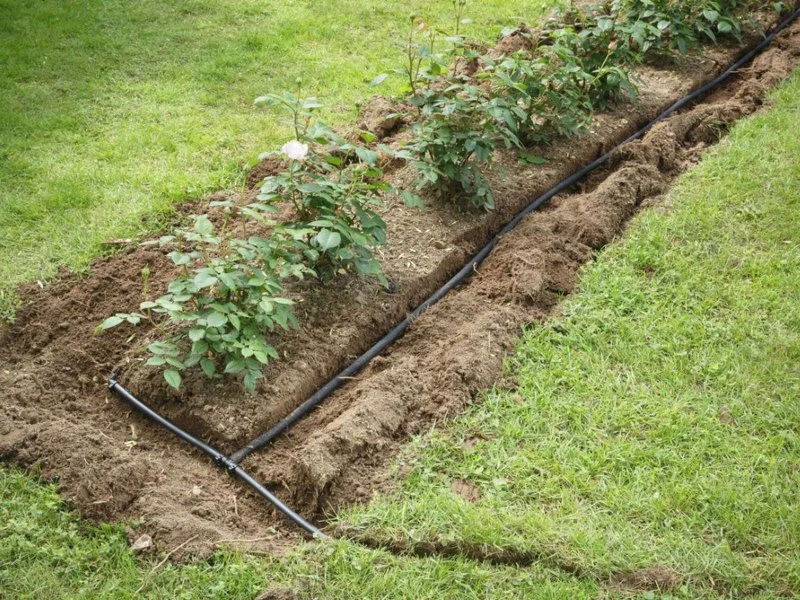 How to Plan a Landscape for Easy Irrigation and Drainage