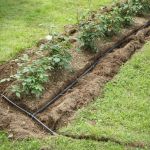 How to Plan a Landscape for Easy Irrigation and Drainage