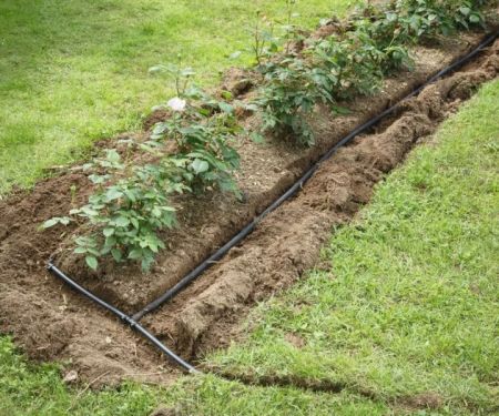 How to Plan a Landscape for Easy Irrigation and Drainage