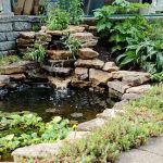 How to Build and Maintain a Backyard Pond – Tips and Guide