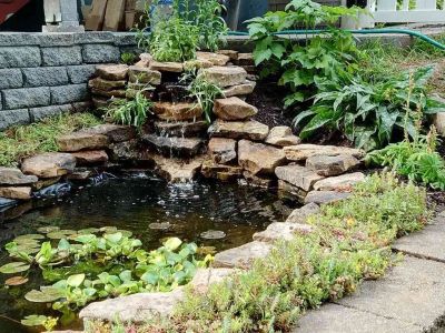 How to Build and Maintain a Backyard Pond – Tips and Guide