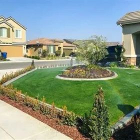 Landscaping Insights