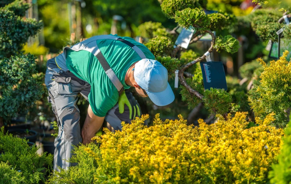 Landscapers Near Me | Find Local Landscaping Companies & Garden Experts in the US