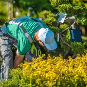 Landscapers Near Me