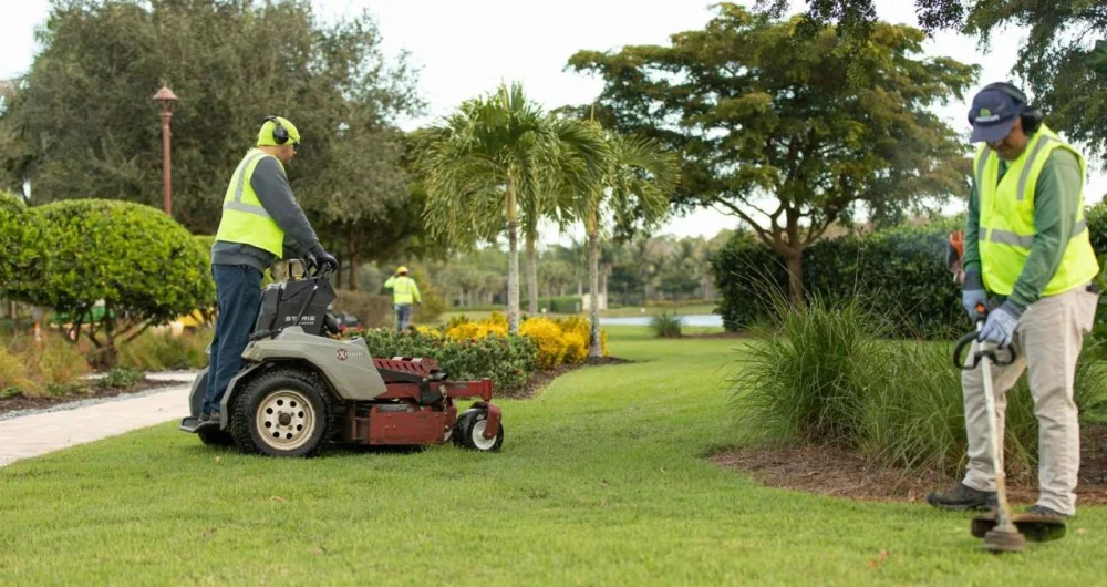 Landscapers Near Me