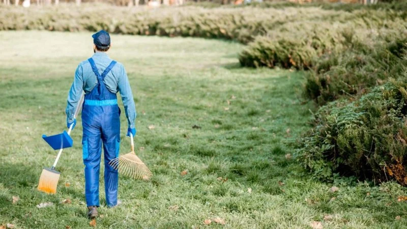How to Revive a Neglected Lawn Step by Step