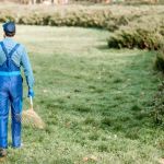 How to Revive a Neglected Lawn Step by Step