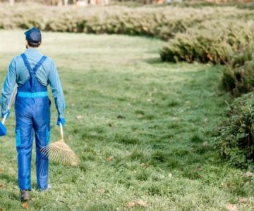 How to Revive a Neglected Lawn Step by Step