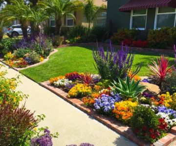 How to Landscape a Front Yard for Maximum Curb Appeal: Expert Tips and Ideas