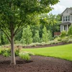 How to Choose the Right Mulch for Weed Suppression: A Complete Guide
